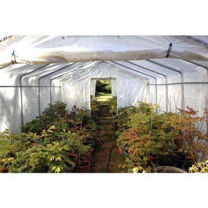 Sheds Express Greenhouses Translucent 22' x 24' x 12' Instant Greenhouse House GH222412H